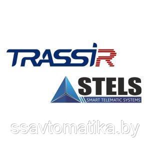 DSSL TRASSIR Stemax