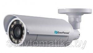 EverFocus EZN-3261 - фото 1 - id-p196568809