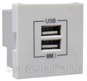 Розетка USB двойная, зарядная, белая (45439 SBR) - фото 1 - id-p196583847