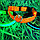 Светящийся ошейник для собак (3 режима) Glowing Dog Collar Зеленый S (MAX 40 sm), фото 8
