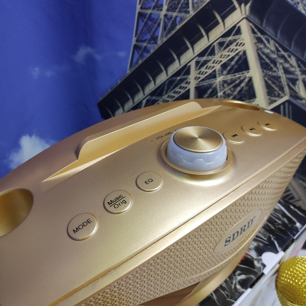 Беспроводная семейная Караоке система SDRD SD-306 с двумя микрофонами в комплекте Золотой - фото 3 - id-p181589314
