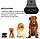 Ультразвуковой отпугиватель собак Ultrasonic Dog ChaserDog Trainner (кликер для отпугивания собак  и их, фото 8