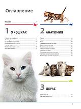 Кошки. Самая полная иллюстрированная энциклопедия, фото 2