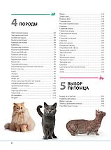 Кошки. Самая полная иллюстрированная энциклопедия, фото 3