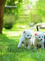 Кошки. Самая полная иллюстрированная энциклопедия, фото 3