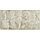 Керамогранит Gresse Petra limestone 1200х600х10 ракушечник серо-зеленоватый - GRS02-27, фото 3