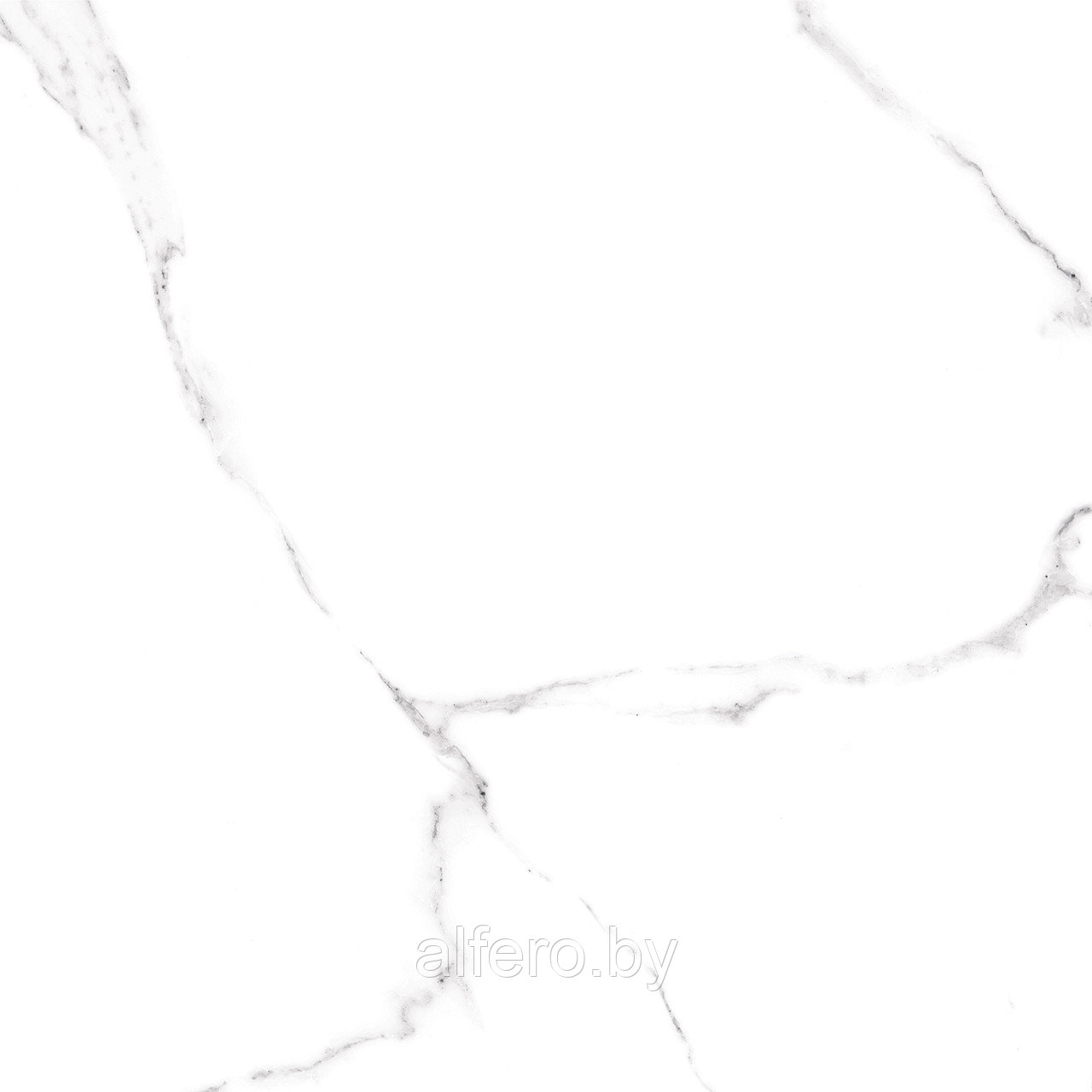 Керамогранит Alma Ceramica Carrara 600*600. GFU04CRR00R матов. рект.