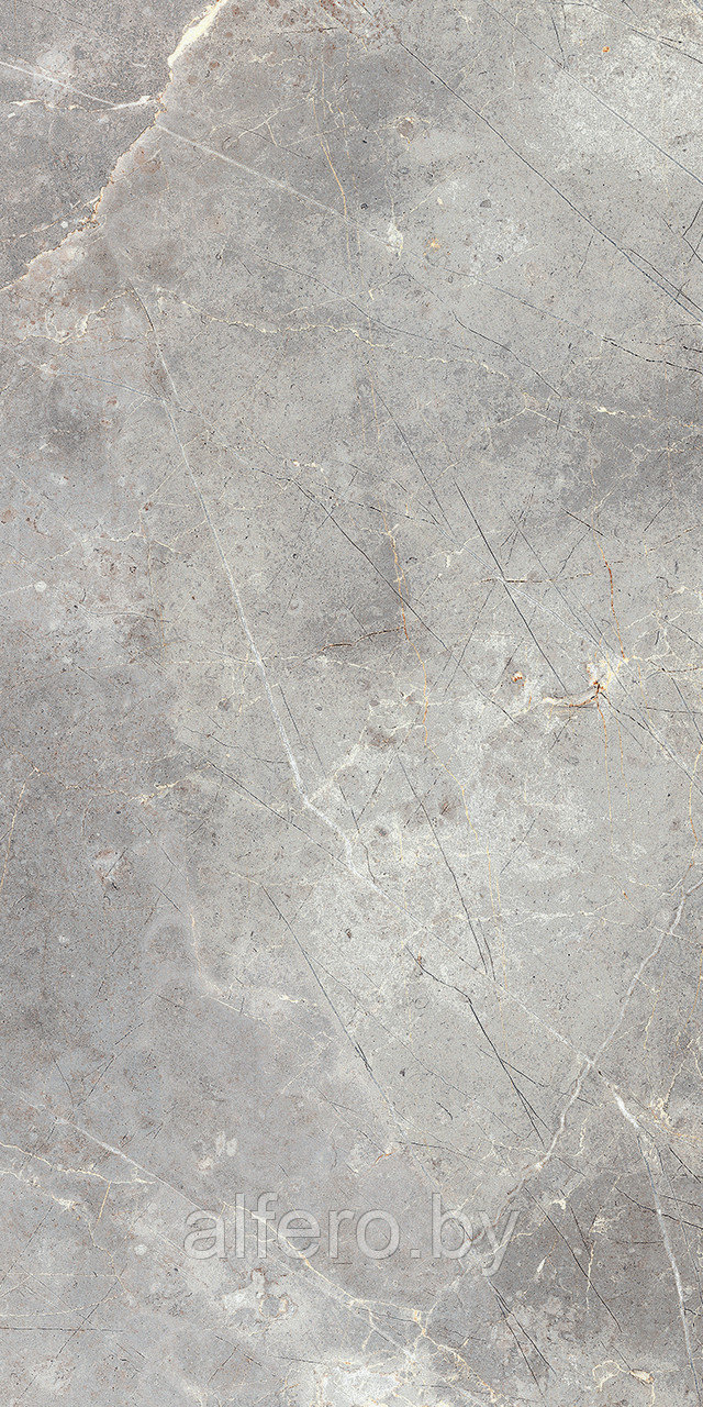 Керамический гранит ITALON Шарм Эво Империале 60x120 рект. 50,4 м2 (1к=2) 610010001413 - фото 3 - id-p196610748