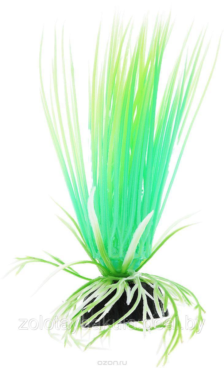 Растение светящееся BARBUS 10см пластиковое Акорус - фото 1 - id-p196620149