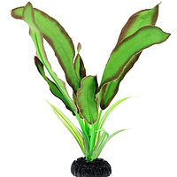Растение шелковое BARBUS 20см Эхинодорус Бартхи Зеленый