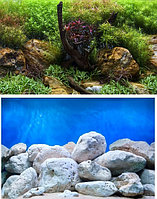 Фон для аквариума BARBUS двухсторонний (Водный сад/Яркие камни) высота 30см, цена за 1м
