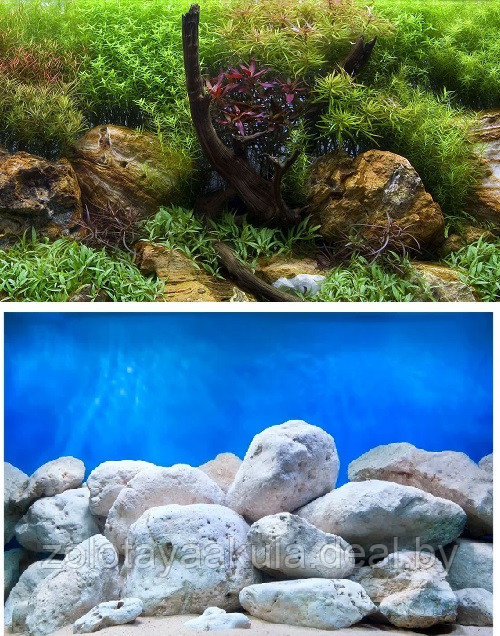 Фон для аквариума BARBUS двухсторонний (Водный сад/Яркие камни) высота 30см, цена за 1м - фото 1 - id-p196620177