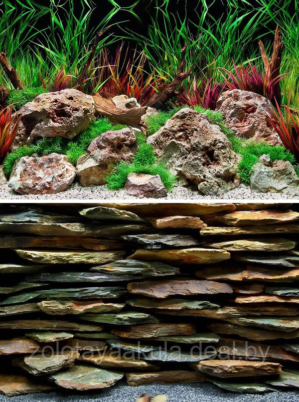 Фон для аквариума BARBUS двухсторонний (Каменная стена/Дикая вода) высота 30см, цена за 1м - фото 1 - id-p196620179