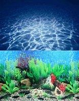 Фон для аквариума BARBUS двухсторонний (Лагуна/Растительный мир) высота 60см, цена за 1м