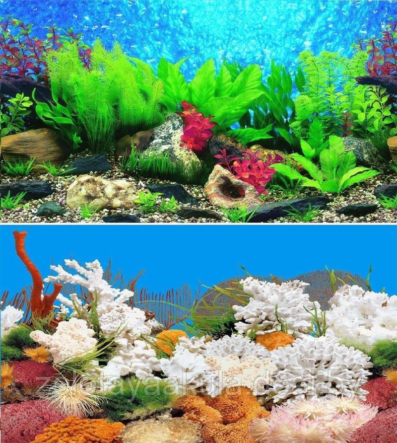 Фон для аквариума BARBUS двухсторонний (Растительный мир/Белые кораллы) высота 30см, цена за 1м - фото 1 - id-p196620183
