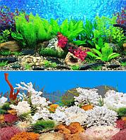 Фон для аквариума BARBUS двухсторонний (Растительный мир/Белые кораллы) высота 40см, цена за 1м
