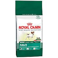 Корм в развес ROYAL CANIN Mini Adult для взрослых собак мелких пород, 1кг