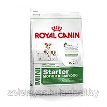 Корм в развес ROYAL CANIN Mini Starter для щенков мелких пород в период отъема и до 2х месяцев, беременных и