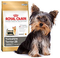 Корм в развес ROYAL CANIN Yorkshire Terrier Adult для взрослых собак породы Йоркширский Терьер от 10 месяцев,