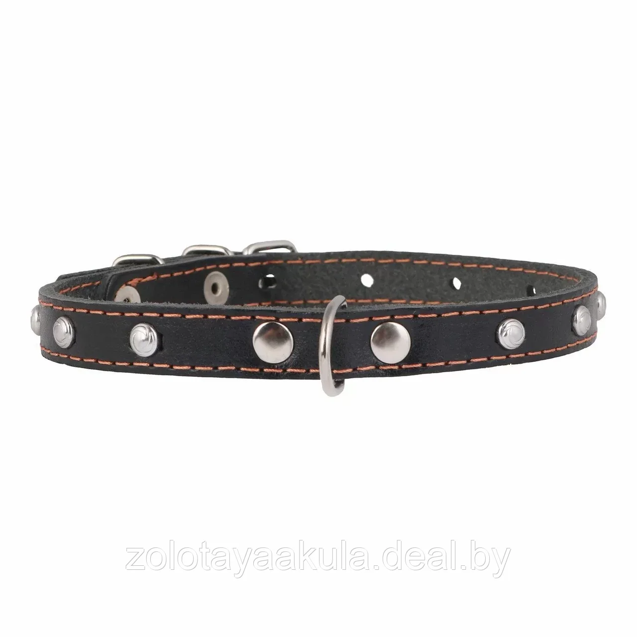 COLLAR Ошейник COLLAR одинарный с украшением 12мм*24-32см черный - фото 1 - id-p196619697