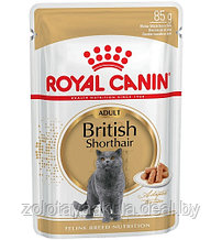 85г Влажный корм ROYAL CANIN British Shorthair Adult для взрослых Британских короткошерстных кошек, в соусе