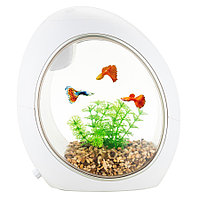 Silver Berg Аквариум Silver Berg Betta Comfort 6.5, белый