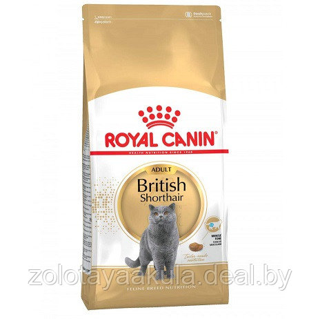 2кг Корм ROYAL CANIN British Shorthair Adult для взрослых Британских короткошерстных кошек с 12 месяцев - фото 1 - id-p196620936