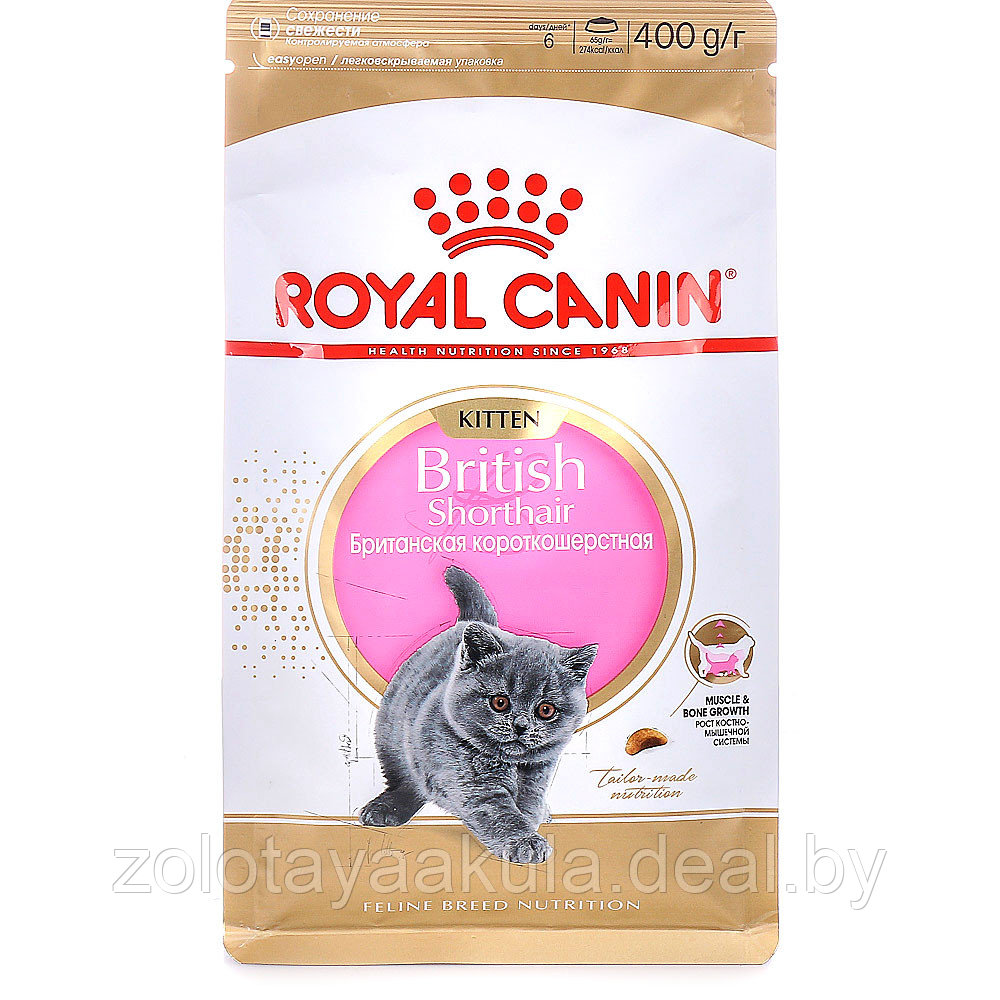2кг Корм ROYAL CANIN British Shorthair Kitten для котят Британских короткошерстных до 12 месяцев - фото 1 - id-p196620938