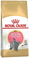 10кг Корм ROYAL CANIN British Shorthair Kitten для котят Британских короткошерстных до 12 месяцев
