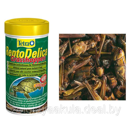 Корм TETRA ReptoDelica Grasshoppers, деликатес из кузнечиков для черепах, 250мл