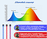 Фитолампа светодиодная полного спектрадля растений и рассады, с таймером, трехлапая, 40Вт на прищепке (3, фото 9