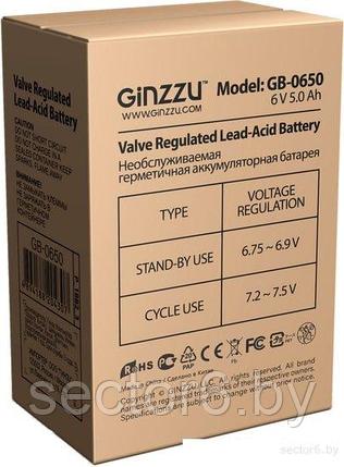 Аккумулятор для ИБП Ginzzu GB-0650 (6В/5 А·ч), фото 2