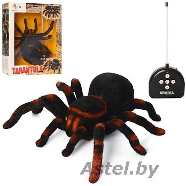 Паук тарантул на радиоуправлении Tarantula Светятся глаза (свет), арт. 781 - фото 1 - id-p193320170
