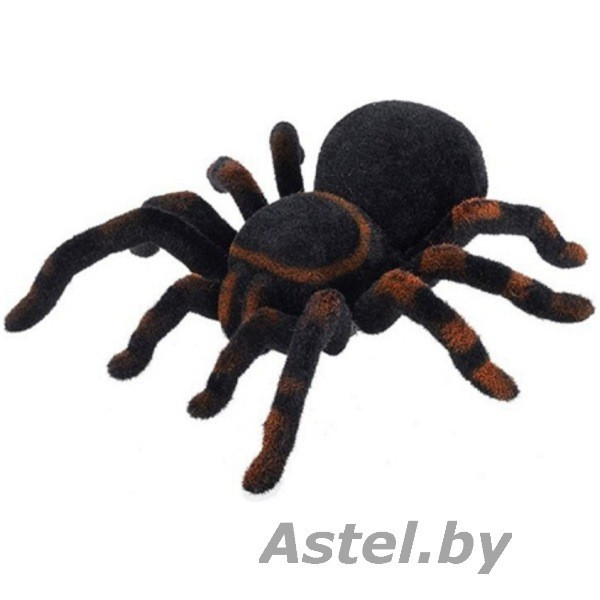 Паук тарантул на радиоуправлении Tarantula Светятся глаза (свет), арт. 781 - фото 2 - id-p193320170