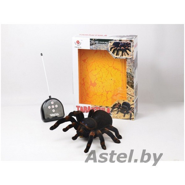 Паук тарантул на радиоуправлении Tarantula Светятся глаза (свет), арт. 781 - фото 3 - id-p193320170