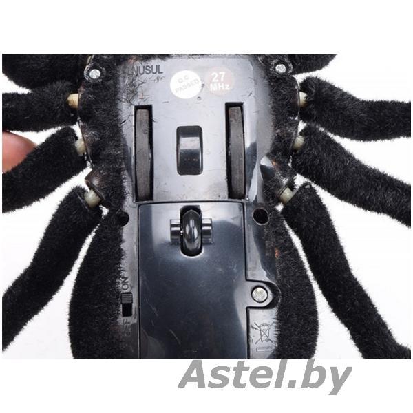 Паук тарантул на радиоуправлении Tarantula Светятся глаза (свет), арт. 781 - фото 4 - id-p193320170