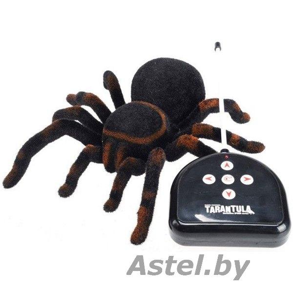 Паук тарантул на радиоуправлении Tarantula Светятся глаза (свет), арт. 781 - фото 6 - id-p193320170