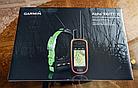 Garmin Alpha 100 с ошейником TT™ 15, фото 5