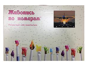 Картина по номерам Взлет самолета 40 x 50 | ZGUS161019-1-4050 | SLAVINA, фото 2