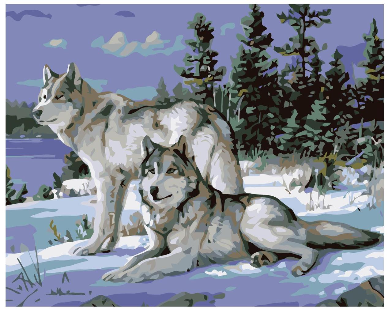 Картина по номерам Волчья пара 40 x 50 | KTMK-62293 | SLAVINA