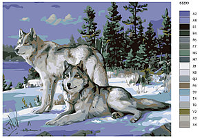 Картина по номерам Волчья пара 40 x 50 | KTMK-62293 | SLAVINA, фото 2