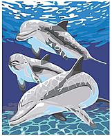 Картина по номерам Дельфины 40 x 50 | KRYM-AN19 | SLAVINA