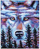 Картина по номерам Волк и лес 40 x 50 | FT08 | SLAVINA