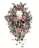 Картина по номерам Скелет и розы 40 x 50 | Z-AB638 | SLAVINA