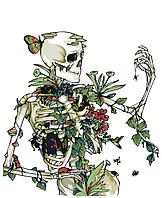 Картина по номерам Скелет с цветами и животными 40 x 50 | Z-AB662 | SLAVINA