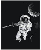 Картина по номерам Космонавт с мечом 40 x 50 | IIIR-P-8 | SLAVINA