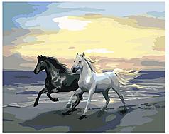Картина по номерам Белый и вороной конь 40 x 50 | KTMK-978231 | SLAVINA