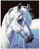 Картина по номерам Белый конь 40 x 50 | KTMK-66514 | SLAVINA