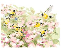 Картина по номерам Птицы в цветах 40 x 50 | KTMK-00695 | SLAVINA