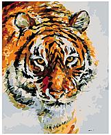Картина по номерам Тигр на снегу Леонид Афремов 40 x 50 | LA32 | SLAVINA